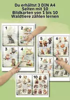 Vorschau - Spiele - Zahlen 1–10 lernen mit Waldtieren | Zählkarten für Kindergarten & Vorschule - Seite 1