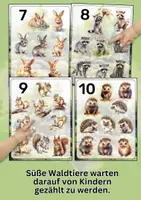 Vorschau - Spiele - Zahlen 1–10 lernen mit Waldtieren | Zählkarten für Kindergarten & Vorschule - Seite 3