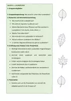 Vorschau - Arbeitsblätter - Wald Gruppenarbeit (Laub-, Nadel-, Regenwald, Förster, Waldschutz, Stockwerke..) mit Beurteilungsbogen - Seite 1