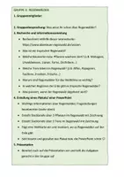 Vorschau - Arbeitsblätter - Wald Gruppenarbeit (Laub-, Nadel-, Regenwald, Förster, Waldschutz, Stockwerke..) mit Beurteilungsbogen - Seite 3