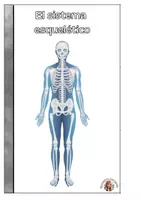 Vista previa - Unidades / Secuencias / Situaciones de Aprendizaje - Anatomía del sistema esquelético y muscular - página 3