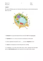 Vorschau - Klassenarbeiten - Klausur Zellbiologie Einführungsphase - Seite 3