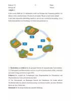 Vorschau - Klassenarbeiten - Klausur Zellbiologie Einführungsphase - Seite 1