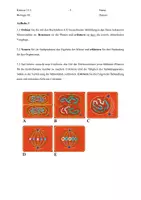 Vorschau - Klassenarbeiten - Klausur Zellbiologie Einführungsphase - Seite 2