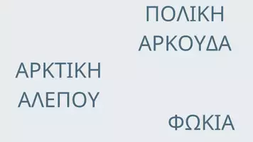 Προεπισκόπηση - Φύλλα εργασίας - Πολικά Ζώα Νηπιαγωγείο - Ζώα στους πάγους (Αρκτική - Ανταρκτική) - Σελίδα 2