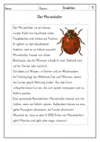 Vorschau - Arbeitsblätter - Lesen: Insekten - Leseverstehen - Seite 1