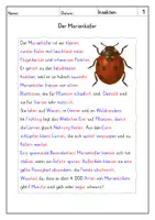 Vorschau - Arbeitsblätter - Lesen: Insekten - Leseverstehen - Seite 2