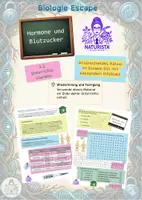 Vorschau - Spiele - Escape Hormone und Blutzucker mit Infotext (9. Klasse) - Deckblatt