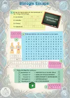 Vorschau - Spiele - Escape Hormone und Blutzucker mit Infotext (9. Klasse) - Seite 3