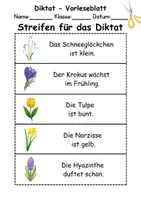 Vorschau - Arbeitsblätter - Diktat - Thema Frühblüher - DaZ/DaF / Deutsch (Klasse 1 bis 4) - Seite 1