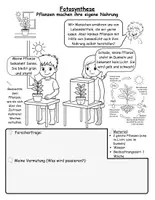 Vorschau - Arbeitsblätter - Fotosynthese – Pflanzen machen ihre eigene Nahrung - Seite 1
