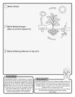 Vorschau - Arbeitsblätter - Fotosynthese – Pflanzen machen ihre eigene Nahrung - Seite 2