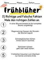 Vorschau - Mal- und Bastelvorlagen - Frühblüher: Leseverstehen und Wortschatz - DaZ/DaF • Deutsch • Sachunterricht - Seite 3