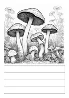 Vorschau - Mal- und Bastelvorlagen - Mein Tiefgaragenbuch Pilze - Beschäftigungsbuch für die Tiefgarage - Seite 2