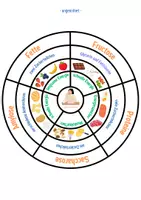 Vorschau - Spiele - Ernährung: Makronährstoffe (Fette, Proteine, Zucker) - Seite 2