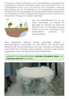 Vorschau - Arbeitsblätter - Stoffkreisläufe Ökologie: Kohlenstoffkreislauf, Stickstoffkreislauf, Wasserkreislauf - Seite 3