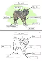 Vorschau - Stationenlernen - Lerntheke: Der Wolf (Tiere des Waldes) - Seite 2