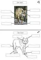 Vorschau - Stationenlernen - Lerntheke: Der Wolf (Tiere des Waldes) - Seite 3