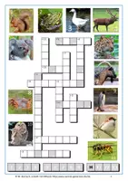 Vorschau - Arbeitsblätter - Kreuzworträtsel Tierfotos 3 - Seite 3