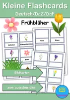 Vorschau - Unterrichtsreihen - Kleine Flashcards: Frühblüher - Bildkarten & Wortkarten (DaZ/DaF / Deutsch) - Deckblatt
