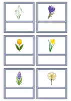 Vorschau - Unterrichtsreihen - Kleine Flashcards: Frühblüher - Bildkarten & Wortkarten (DaZ/DaF / Deutsch) - Seite 1