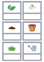 Vorschau - Unterrichtsreihen - Kleine Flashcards: Frühblüher - Bildkarten & Wortkarten (DaZ/DaF / Deutsch) - Seite 3