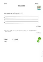 Vorschau - Arbeitsblätter - Chemie-Test: Grundlagen zu Kohlenstoff und seinen Verbindungen - Seite 2