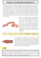 Vorschau - Arbeitsblätter - Anatomie des Regenwurms: Segmente, Hautatmung, Verdauung im Bodenökosystem - Seite 1