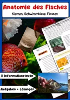 Vorschau - Arbeitsblätter - Anatomie des Fisches: Kiemen, Schwimmblase, Flossen - Deckblatt