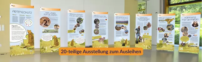 Vorschau - Mal- und Bastelvorlagen - AGA Bastelbilderbuch "Geparde" Artenschutz - Seite 3