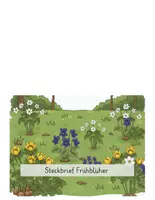 Vorschau - Poster - Frühblüher Steckbriefe - Seite 1