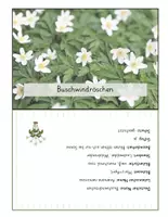 Vorschau - Poster - Frühblüher Steckbriefe - Seite 2