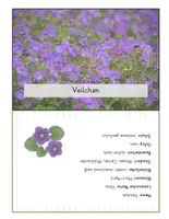 Vorschau - Poster - Frühblüher Steckbriefe - Seite 3