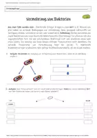 Vorschau - Arbeitsblätter - Vermehrung Bakterien (Zellteilung) / inkl. Lösung - Seite 3