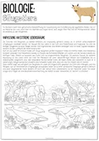 Vorschau - Unterrichtsreihen - Säugetiere - Seite 3