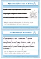 Vorschau - Arbeitsblätter - Abschreibkartei Schönschreiben - Seite 2