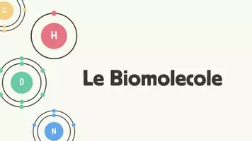 anteprima - Presentazioni / Lavagne - Le biomolecole - Pagina di copertina