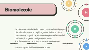 anteprima - Presentazioni / Lavagne - Le biomolecole - Pagina 1