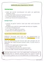 Vorschau - Präsentationen/Tafelbilder - NuT 10: Homologie und Analogie im Tierreich - Seite 1