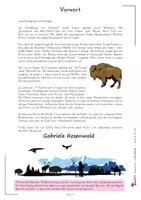 Vorschau - Arbeitsblätter - Fliegender Stern – Literaturseiten | Lesebegleitheft, Textverständnis, Grammatik, Ureinwohner Amerikas, Rechtschreibung | Deutsch Klasse 3-6 Lektüre - Seite 3