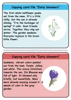 Vorschau - Unterrichtsreihen - Copy card index / Abschreibkarten: Frühblüher / Early Bloomer - Englisch - Seite 1