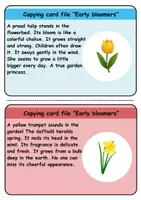 Vorschau - Unterrichtsreihen - Copy card index / Abschreibkarten: Frühblüher / Early Bloomer - Englisch - Seite 2