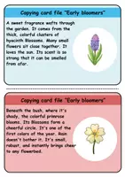 Vorschau - Unterrichtsreihen - Copy card index / Abschreibkarten: Frühblüher / Early Bloomer - Englisch - Seite 3