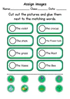 Vorschau - Arbeitsblätter - Match words & stick on: Frühblüher / Early Bloomer - Englisch (Schneiden und Kleben) - Seite 2