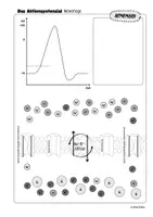 Vorschau - Arbeitsblätter - Arbeitsblatt Aktionspotenzial Lesen & Malen Neurobiologie - Seite 3