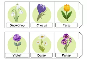 Vorschau - Spiele - Materialpaket - Nichtleser / Non-Reader - Frühblüher / Early Bloomer - Englisch - Seite 2
