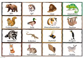 Vorschau - Spiele - Animals - Bild- und Wortkarten - Seite 1