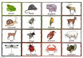 Vorschau - Spiele - Animals - Bild- und Wortkarten - Seite 3