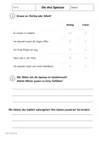 Vorschau - Arbeitsblätter - Die drei Spatzen - Gedicht mit passenden Übungen - Seite 3