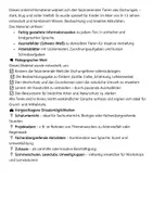 Vorschau - Mal- und Bastelvorlagen - Tiere des Dschungels - Ich lerne und male aus - Seite 1